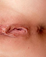 Showy Beauty - 75-ShowyBeauty-0075