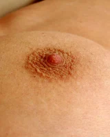 XX Cel - 50-Rdo_002_p_050