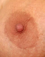 XX Cel - 67-Sh_003_p_067